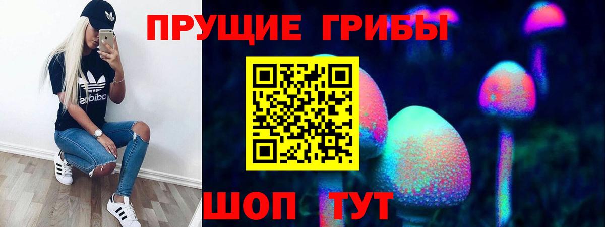 Галлюциногенные грибы Psilocybe Альметьевск
